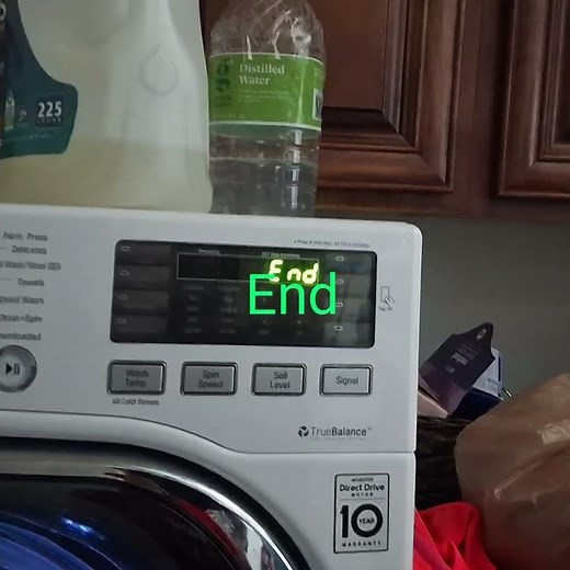 LG Washing Machine End