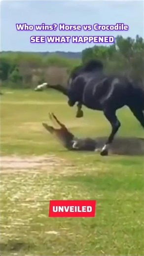 Horse vs Crocodile: Unlikely Animal Fight! #shorts #viral