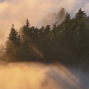 7.7K views · 105 reactions | Fall in love with Cherokee  | Visit Cherokee | Facebook