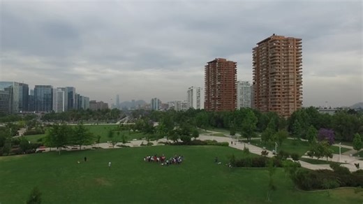 Animal, Dog, Pet, Play, Home