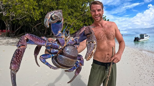 Rare Giant Land Crab! Largest In the World