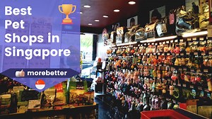10 Best Pet Shops In Singapore (2025) | Pet Store Near Me | MoreBetter