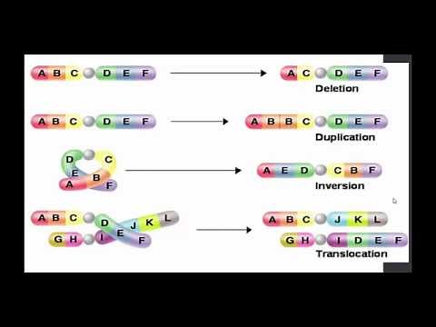 Types of Mutations