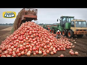 Modern Onion Farming Technology: How to Process TONS of Onions in Factory