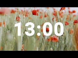 13 Minute Timer with Relaxing Music and Alarm, Countdown Clock for Stress Relief