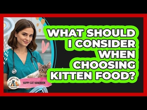 What Should I Consider When Choosing Kitten Food?