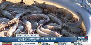 Georgia shrimping season comes to a close after several challenges in 2022