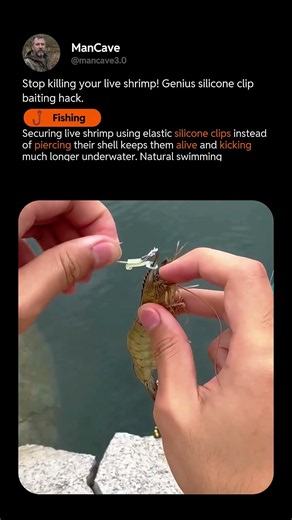 HOW TO KEEP LIVE SHRIMP ALIVE LONGER ON THE HOOK