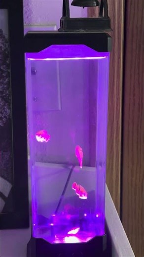 Artificial fish tank