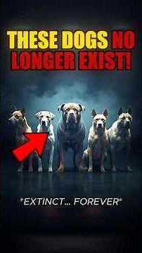 These Dog Breeds Don't Exist Anymore