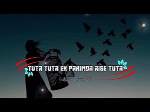 tuta tuta ek parinda aise tuta full song lyrics video 💔 sad lofi songs 🥀 feeling 🥹 ( slowed reverb )