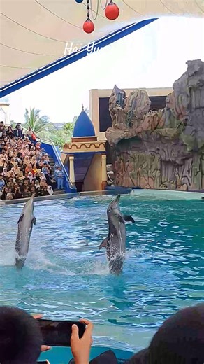 lumba lumba dance pica pica lumba lumba joget #shorts #fyp