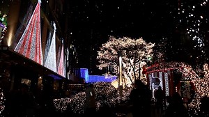 Tree, Snowing, Year-End. Free Stock Video