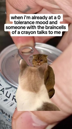 Creative Cat DIY Ideas to Try at Home