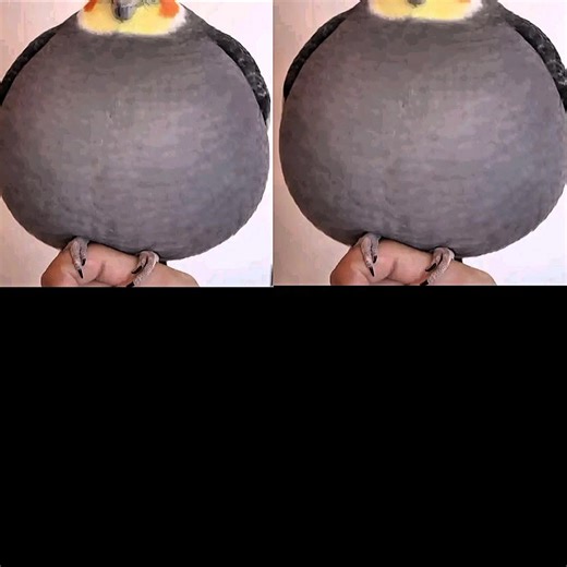 #CapCut #shitpost#trending #jokeeditjoke edit