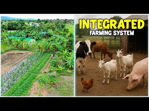 Integrated Farming System (IFS) - Success Secrets Revealed