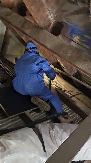 Roof Cavity Mould Remediation in Pymble, Sydney | AAA Mould Removal Behind the Scenes #mouldremoval