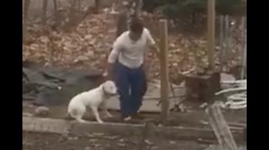 Video of dog beating prompts calls for justice from neighbors, animal rescuers