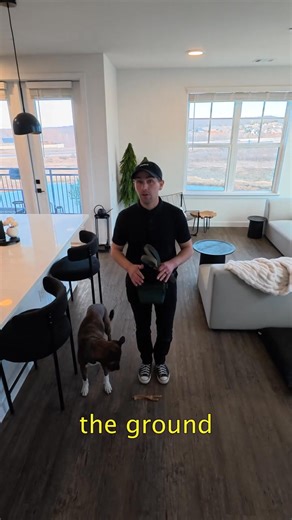 How to teach ANY dog the leave it command. (SO IT ACTUALLY WORKS!) #DogTraining #puppytraining #dogtrainer #dogtrainingadvice #dogtrainingtips @Pupford | Freepettrainer