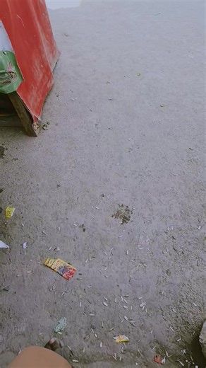 The Mystery of Let Him Cook