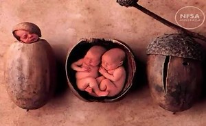 Sorry, we have encountered a problem. - Alexander Street, a ProQuest Company