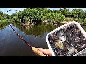 Bluegill BEATDOWN on Harney Pond (PART 1)