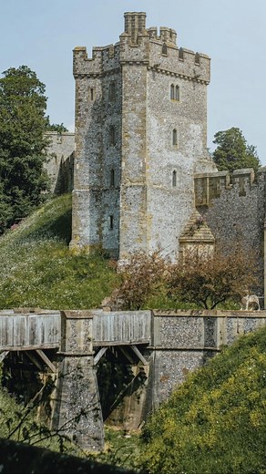 'We wanted to escape the city and enjoy a family day out. Arundel Castle did not disappoint. From the moment we arrived the staff were super helpful, the gardens are so beautiful and with the backdrop of the castle it felt like a fairytale. Once inside the castle you are transported back 100s of years with medieval weaponry and armour - the kids loved this! Although it has to be said, the castle guides are the real shining stars here, sharing history and tales - the children loved asking questio
