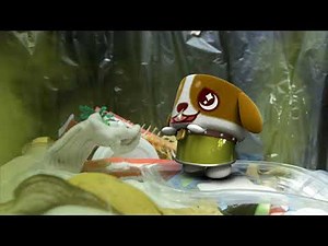[CANIMALS] Season 1 EP45 Trash Can / 쓰레기통 속 친구