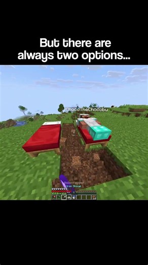 How I Saved Bro In The Hardcore World