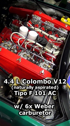 Ferrari Engine Bay Perfection (365 GT4 2+2 V12) #ferrari #classiccars #ferrariv12