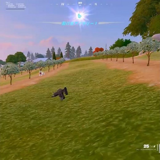 Apparently there are some amazing little tricks involving invisible piggyback rides and ziplines....