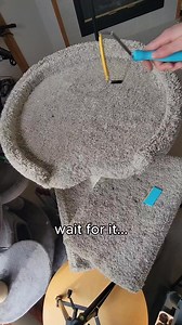 1M views · 2.8K reactions | i could not believe my eyes!!! #uprootclean #pethairremoval | Uproot Clean | Facebook