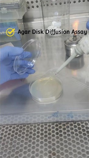 Agar Disk Diffusion Assay | Disc Diffusion