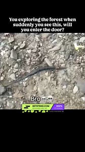 23K views · 485 reactions |  If you like unknown mysteries: ⤵️  We...