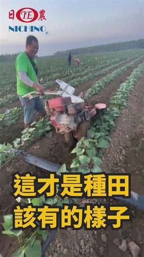 日農牌 IE-102 中耕機 開溝培土 實況