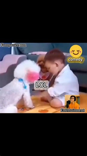 မမဂျီဆူး😍 #funny #comedyvideo #voiceover #animals #viral