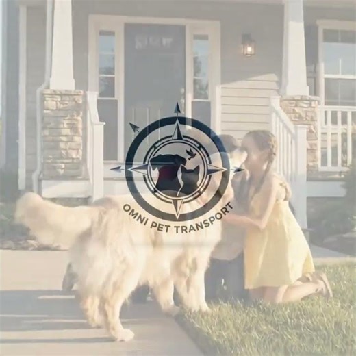 Pet Reunions | Omni Pet Transport