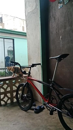 Modified BMX Tricks and Techniques