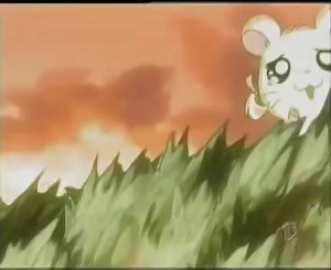 Hamtaro Sigla