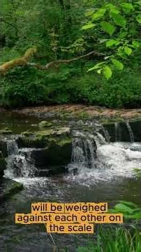 beautiful Hadees in English