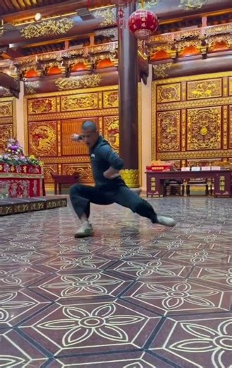 Snake Style Kung Fu: Mastering the Sliding Evasion Move