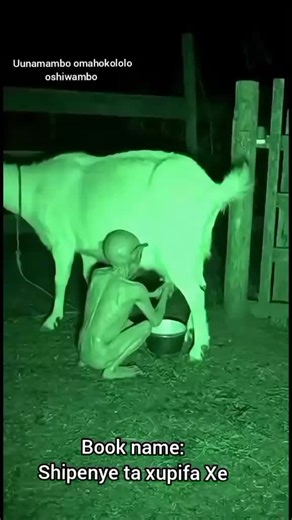 Unlocking Alex the Great: Full Audiobook Insights