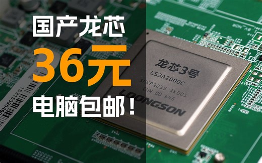 能行吗？我搞来了十一台36元包邮的国产龙芯电脑！2023最超值！- GeekLogic EP18