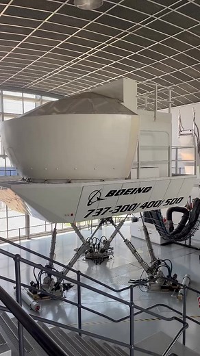 Master Your Pilot Proficiency Check | Realistic Simulations