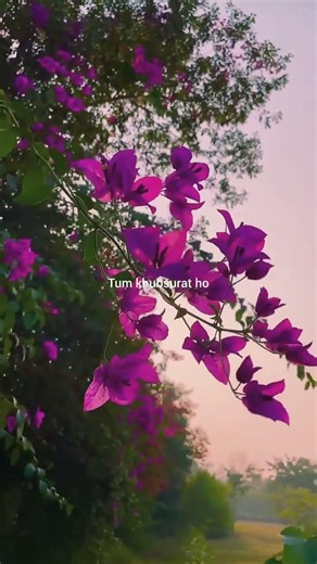Tumhe jo maine dekha ❤️ || Song lyrics ✨ || #song #lyrics #songlyrics #lyricalzone #moonlightlyrics