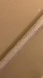 16K views · 69 reactions | The gasp I gasped 識 | GO CLEAN CO | Facebook