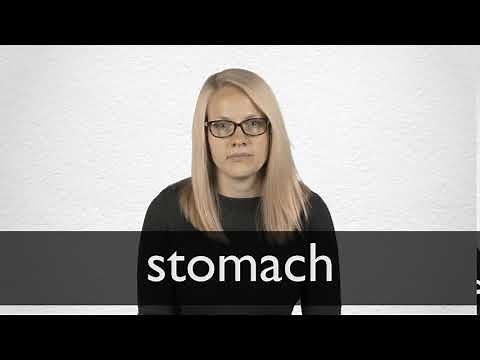 How to pronounce STOMACH in British English