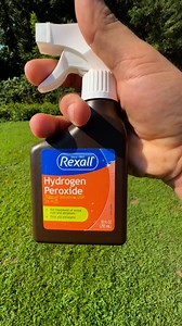 46K views · 44K reactions | A safe pet friendly way to get rid of fleas ticks and gnats! | Ceith Griffith | Facebook