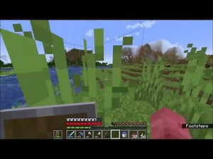 Minecraft: Null Sighting #3: The Nullscape (2022)