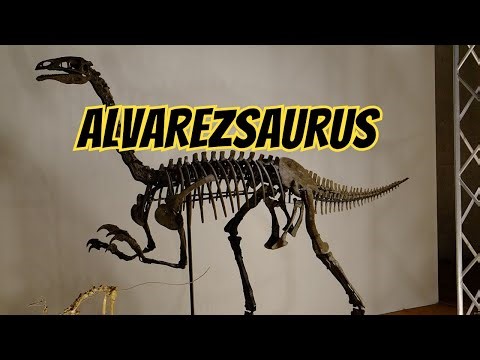Dinosaur Species Alvarezsaurus Facts, Size & Behavior